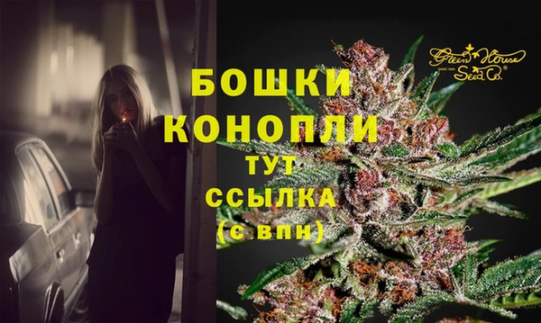 сатива Кадников