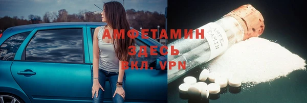 прущие грибы Ишимбай