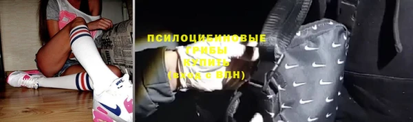 амф Калининец