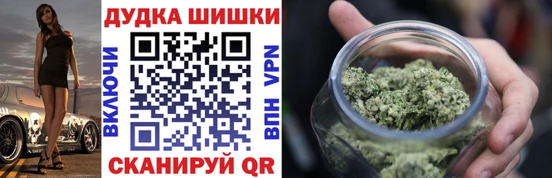 где можно купить наркотик  Туран  Бошки марихуана сатива 